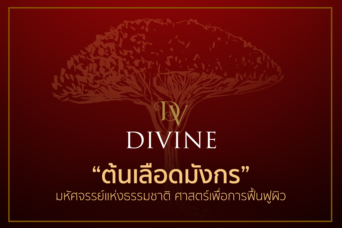 ‘ต้นเลือดมังกร’ มหัศจรรย์แห่งธรรมชาติ ศาสตร์เพื่อการฟื้นฟูผิว